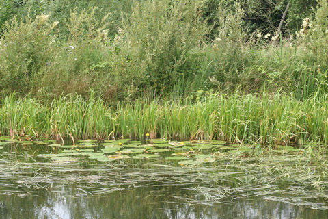 Barrow Line 20140721 09_resize