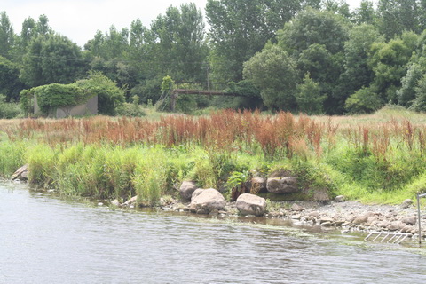 Ballinasloe Grand Canal footbridge 01_resize