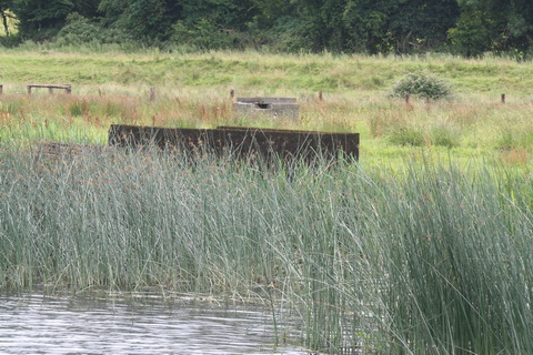 Ballinasloe Grand Canal footbridge 04_resize