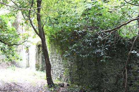 Bleach mill 01_resize