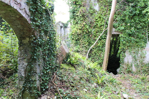 Bleach mill 02_resize