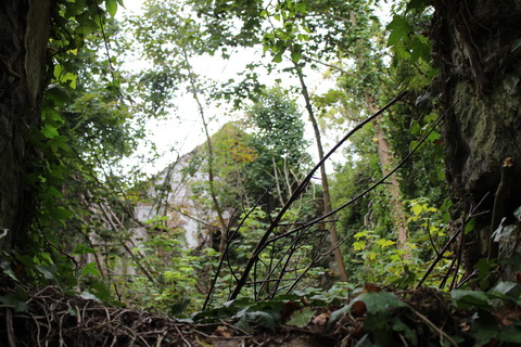 Bleach mill 04_resize