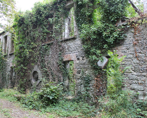 Bleach mill 05a_resize