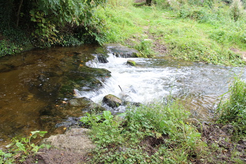 Downstream 01_resize