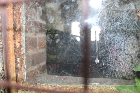 Old waterworks building 07_resize