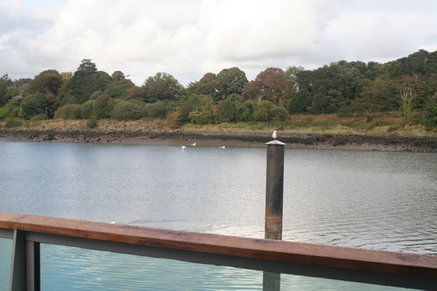 Suir Waterford 20140928 03_resize