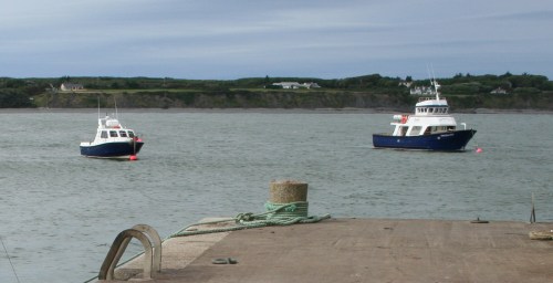 Carrigaholt new harbour 24