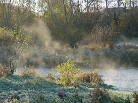 Mist at Plassey north bank November 2007 02_resize