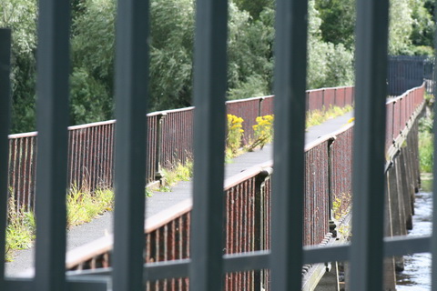 Plassey August 2010 37_resize