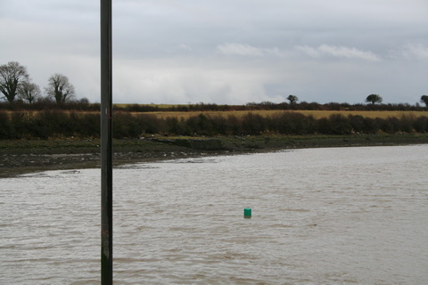 Seaweed quay opposite Massy's Quay on the Deel February 2011 7_resize