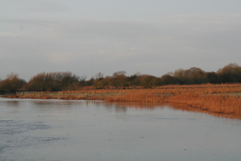 Shannon Harbour to Dromineer December 2014 116_resize