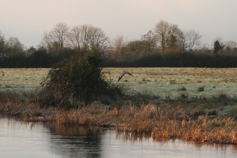 Shannon Harbour to Dromineer December 2014 140_resize