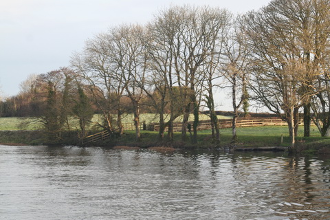 Shannon Harbour to Dromineer December 2014 174_resize