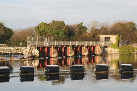 Shannon Harbour to Dromineer December 2014 181_resize