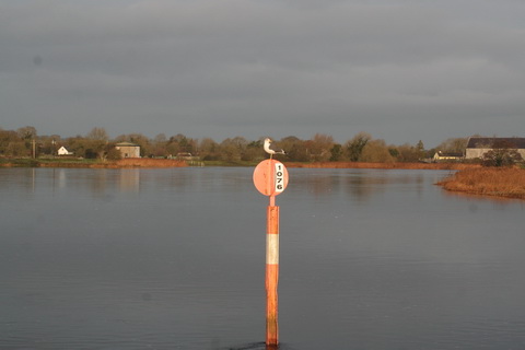 Shannon Harbour to Dromineer December 2014 205_resize