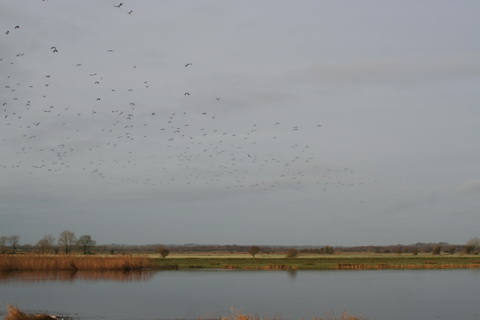 Shannon Harbour to Dromineer December 2014 213_resize
