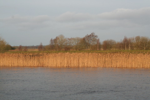 Shannon Harbour to Dromineer December 2014 221_resize