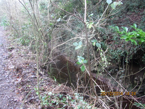 Ulster Canal Benburb (Cathal Coleman 2014) 08_resize