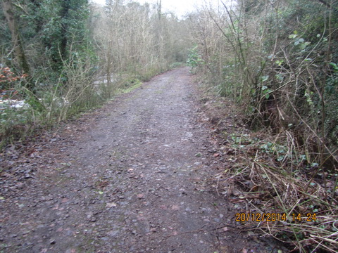 Ulster Canal Benburb (Cathal Coleman 2014) 09_resize