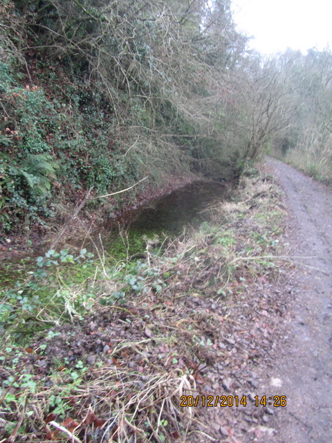 Ulster Canal Benburb (Cathal Coleman 2014) 12_resize