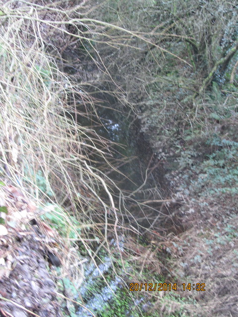 Ulster Canal Benburb (Cathal Coleman 2014) 20_resize