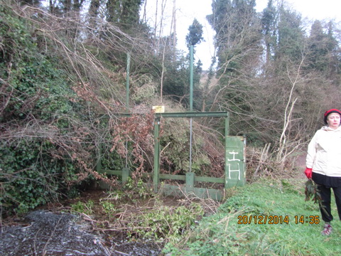 Ulster Canal Benburb (Cathal Coleman 2014) 22_resize