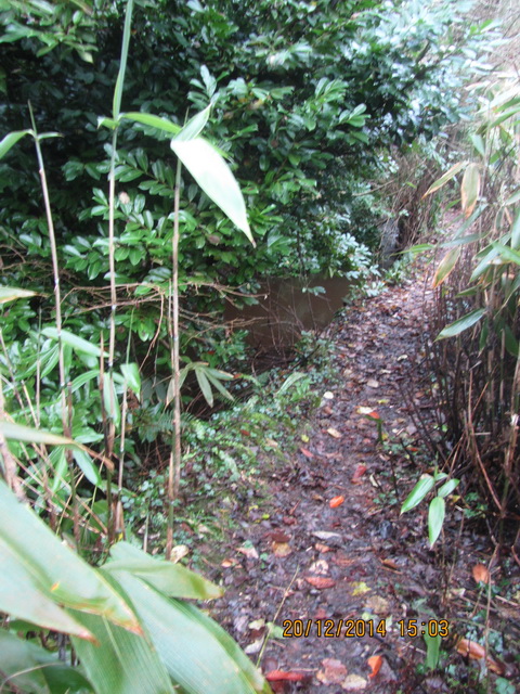 Ulster Canal Benburb (Cathal Coleman 2014) 29_resize