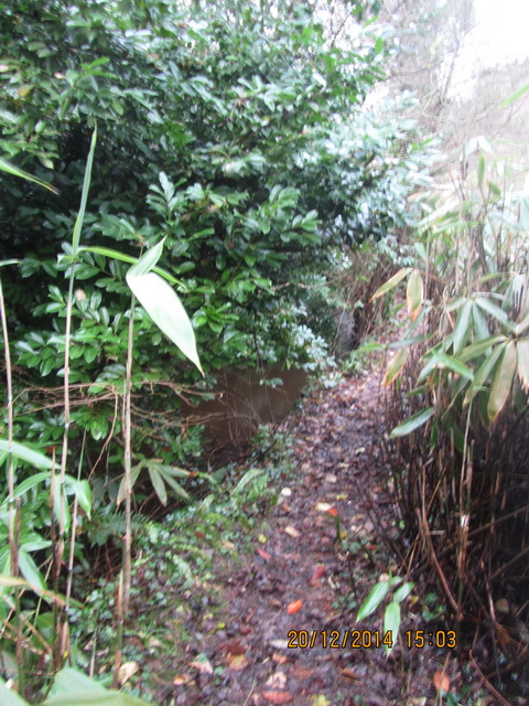 Ulster Canal Benburb (Cathal Coleman 2014) 30_resize