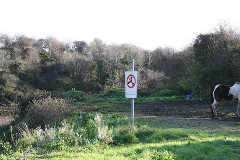 Unnamed quay on the Deel below Askeaton above Wyeth 11_resize