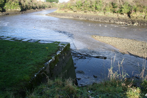 Unnamed quay on the Deel below Askeaton above Wyeth 13_resize