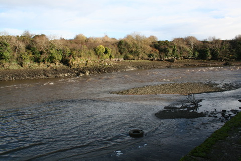 Unnamed quay on the Deel below Askeaton above Wyeth 1_resize