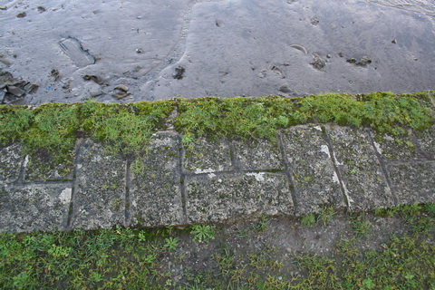 Unnamed quay on the Deel below Askeaton above Wyeth 2_resize
