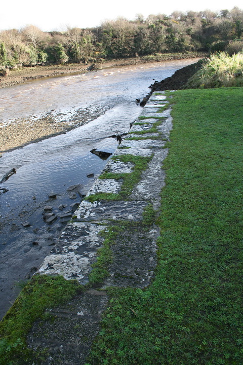 Unnamed quay on the Deel below Askeaton above Wyeth 8_resize