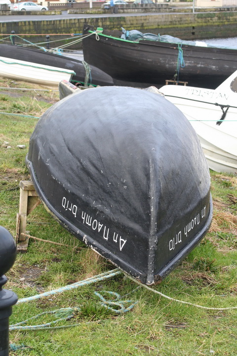 Claddagh 20140301 05_resize