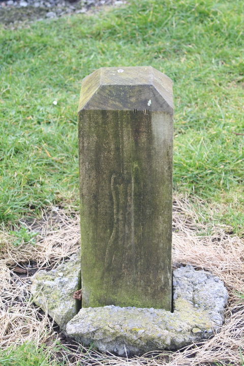 Claddagh 20140301 45_resize