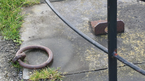 Claddagh 20140301 80_resize