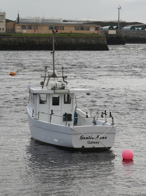 Claddagh 20140301 83_resize