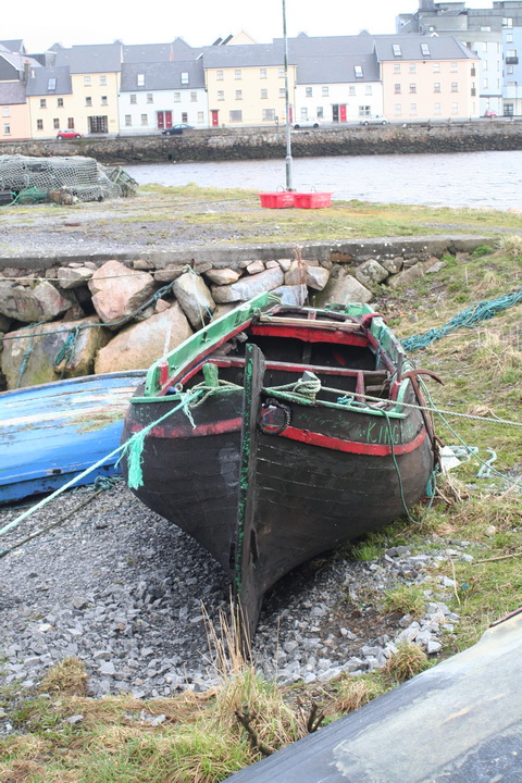 Claddagh 20140301 86_resize