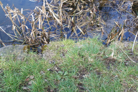 Sallins dry dock entrance 20150308 04