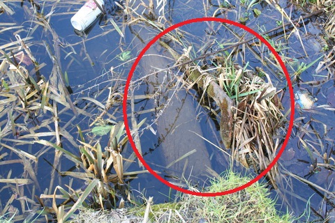 Sallins dry dock entrance 20150308 07