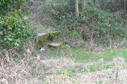 Sallins dry dock north 20150308 01