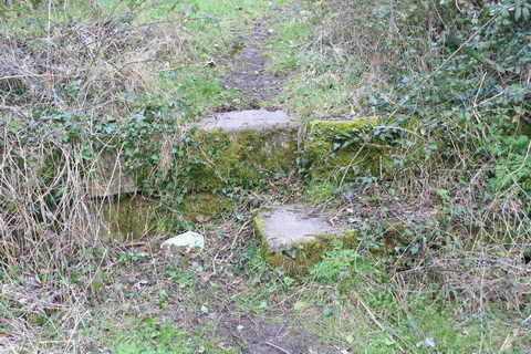 Sallins dry dock north 20150308 02