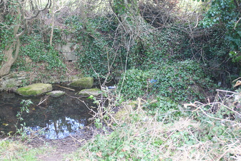 Sallins dry dock rear 20150308 02