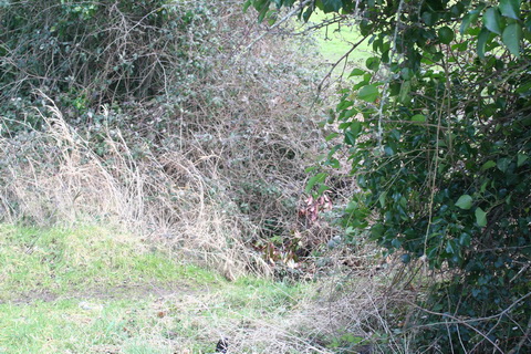 Sallins dry dock south 20150308 01