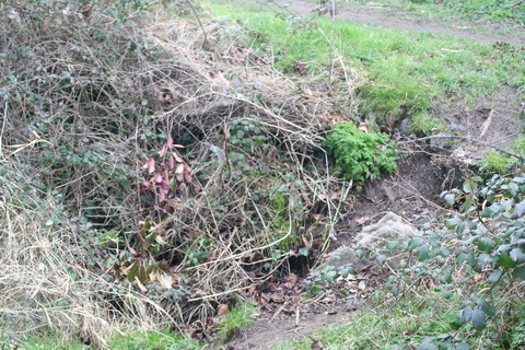 Sallins dry dock south 20150308 02