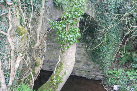 Ballygalane canal bridge 07_resize