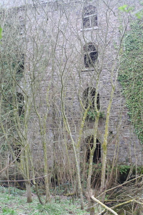 Canal at Lismore 11_resize