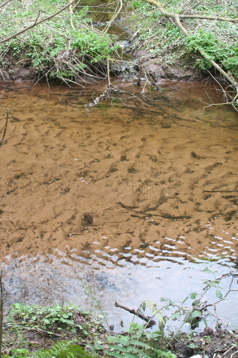Canal at Lismore 16_resize