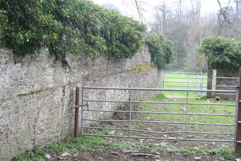 Canal at Lismore 25_resize