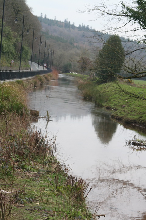 Canal at Lismore 41_resize